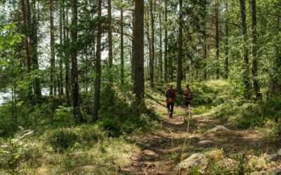 Liiketoimintaa lähiluonnosta -hankkeessa innovoidaan luontolähtöisiä palveluja ja tuotteita